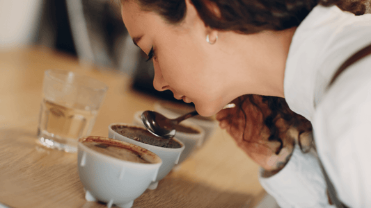 The Art of Coffee Tasting: A Comprehensive Exploration of World Flavors